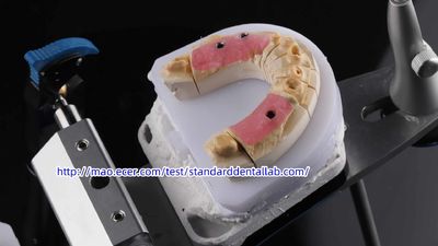Standard Dental Lab Co., Limited línea de producción del fabricante