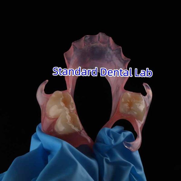 Standard Dental Lab Co., Limited línea de producción del fabricante
