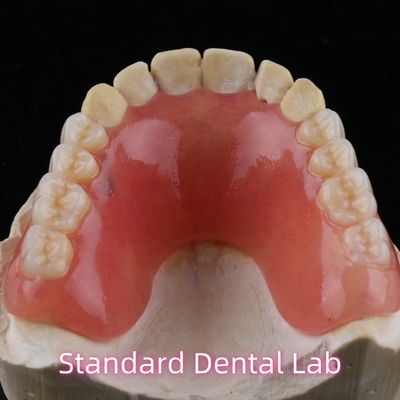 comprar Dentista Dentadura parcial acrílica temporal Ivoclar YAMAHACHI fabricación en línea