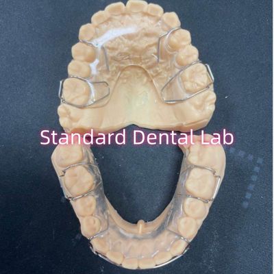comprar Retentor de ortodoncia profesional Retentor dental acrílico Hawley Adam Claps fabricación en línea