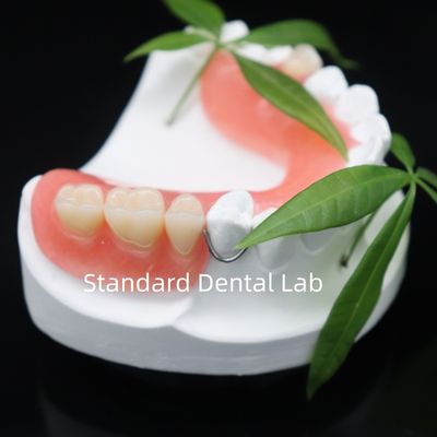 comprar Alta estética Dentsply Lucitone 199 Dentadura acrílica Resina acrílica para dentaduras China Laboratorio dental fabricación en línea