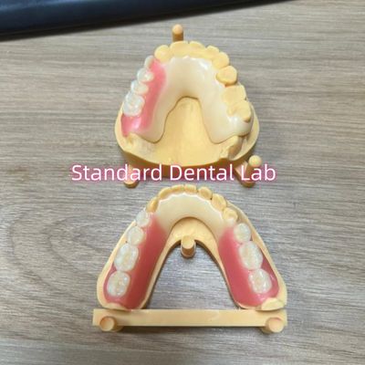 Sombras estéticas de dientes Acetales Cuadro de coloración de los dientes Cintas Ivoclar