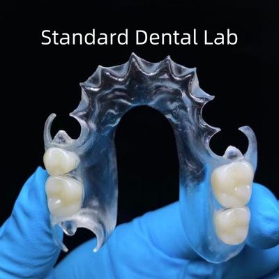 Dental Clear TCS Valplast Dental Flexible Parciales Laboratorio Dental Estándar