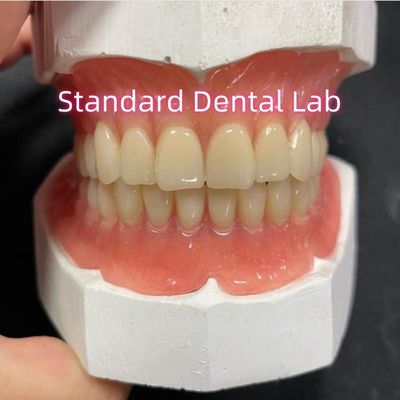 Dentadura parcial acrílica con dentadura completa y superior y baja Dentes de color rosa