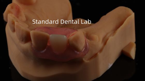 Dental TCS Valplast Flexible Dentes parciales Nesbit Valplast Finish China Valplast cerradura de laboratorio dental