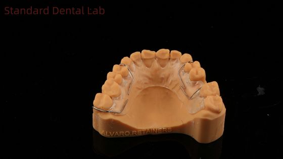 Perfecto ajuste Alemania Ortodoncia Dentes Halley retenedor para la estética y el ajuste de sombra clara SDL Dental Lab