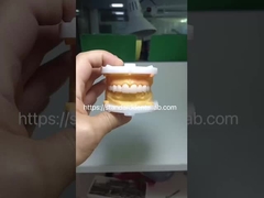 Alta estética BrusZir de contorno completo Coroas de zirconia Puente PFZ