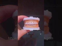 Alta estética corona dental blanca de diagnóstico de cera personalizada China laboratorio dental
