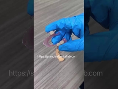 Alta estética Dental TCS Valplast Flexible Dentes parciales Dental Laboratorio color rosa