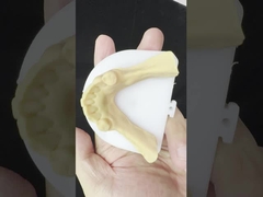 Las aleaciones metálicas parcialmente cobalto Cromo Denturas Ivoclar Scheftner Confortable marco de metal