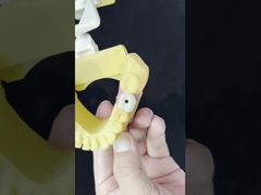 Porcelana todo en cuatro puente de zirconia alta estética puente de implantes dentales tornillo retenido