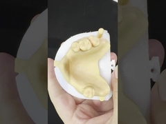 Las aleaciones metálicas parcialmente cobalto Cromo Denturas Ivoclar Scheftner Confortable marco de metal